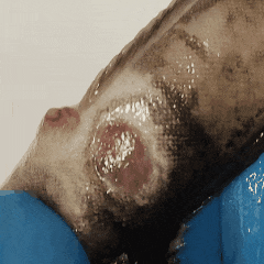 Imprint smear