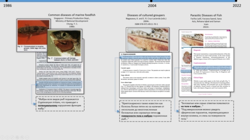 Клинические случаи нетипичной формы криптокарионоза