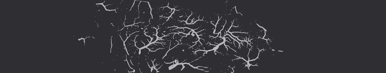 Comparison of normal and pathological findings in fish organs during necropsy