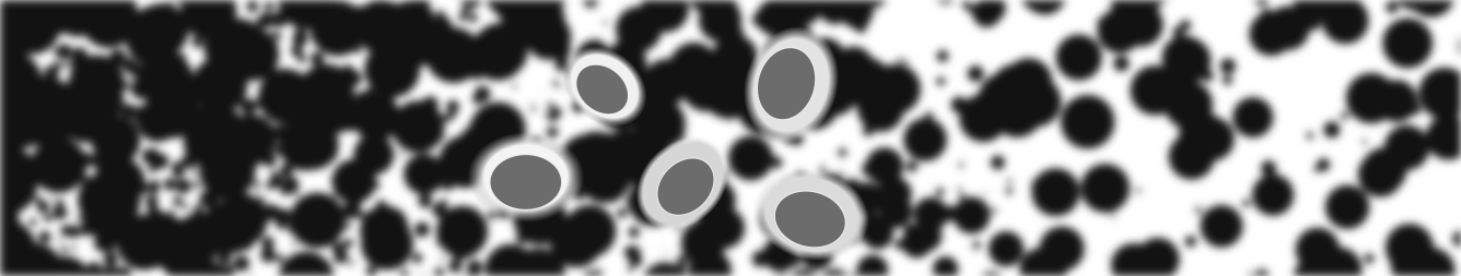 Round structures with a distinct halo.