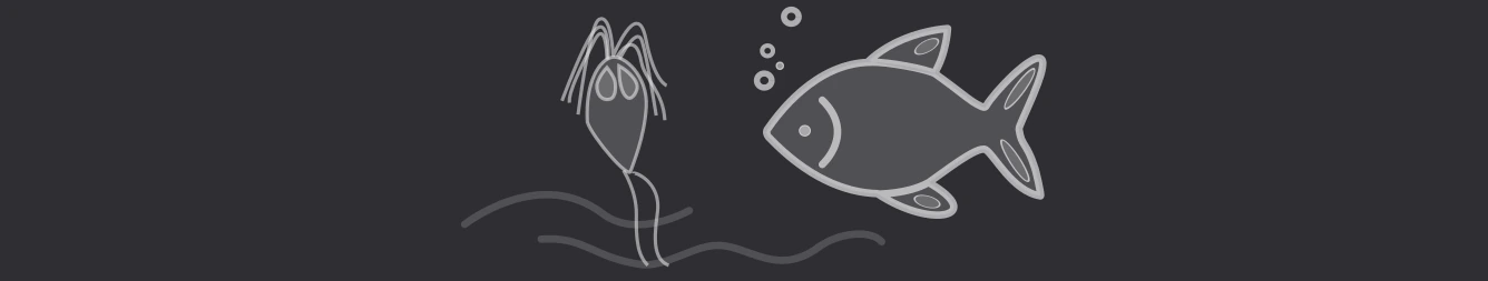 Size fish
