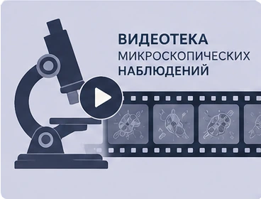 Микроскопические наблюдения